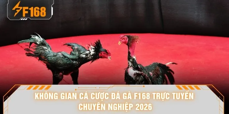 Không gian cá cược đá gà F168 trực tuyến chuyên nghiệp 2026