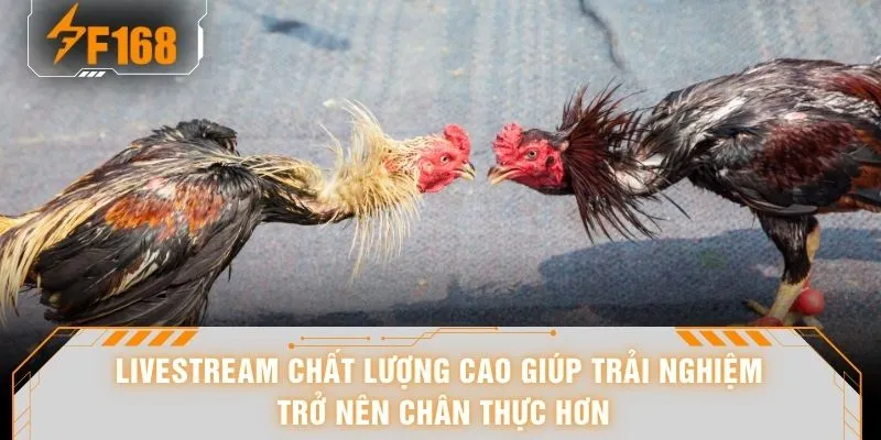 Livestream chất lượng cao giúp trải nghiệm trở nên chân thực hơn
